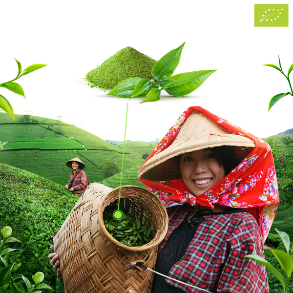 Mary Rose – Japońska Herbata Zielona Matcha Tenno (BIO) Ceremonialna 30 g