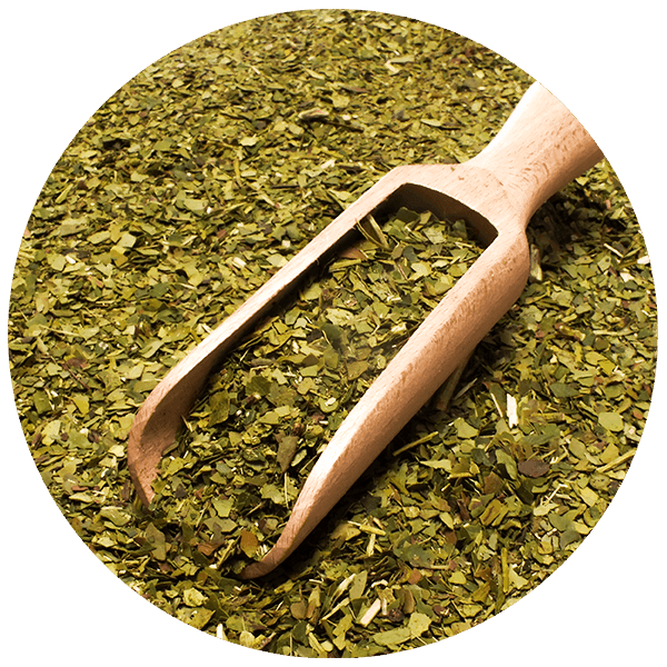 Yerbera – Puszka z Verde Mate Green Energia Organica 0,5 kg