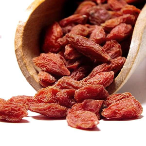 Vivarini – Jagody goji suszone 50 g