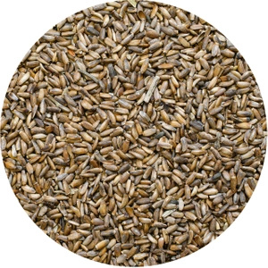 Vivarini – Ostropest (ziarno) 50 g