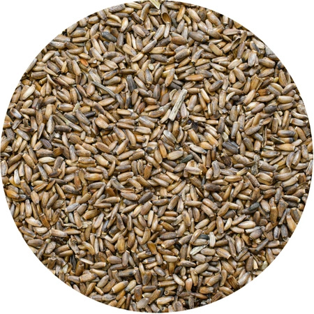 Vivarini – Ostropest (ziarno) 50 g